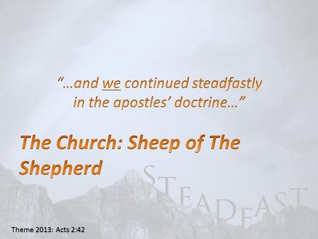 Theme 2013: Acts 2:42. John 10:11 “I am the GOOD shepherd. The GOOD shepherd gives His life for the sheep.” “I am the GOOD shepherd. The GOOD shepherd.