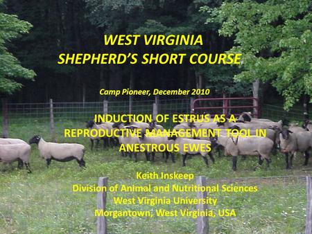 WEST VIRGINIA SHEPHERD’S SHORT COURSE Camp Pioneer, December 2010 INDUCTION OF ESTRUS AS A REPRODUCTIVE MANAGEMENT TOOL IN ANESTROUS EWES Keith Inskeep.