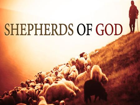 Shepherds of God  They are SHEPHERDS. The Gr. word poimen is used to describe a particular kind of spiritual leadership.