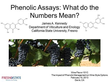 Phenolic Assays: What do the Numbers Mean?