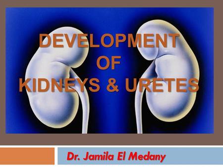 Dr. Jamila El Medany DEVELOPMENTOF KIDNEYS & URETES.