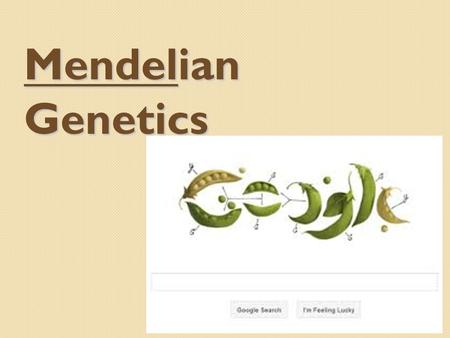 Mendelian Genetics WHO’S THE PARENT? AB GENETICS.