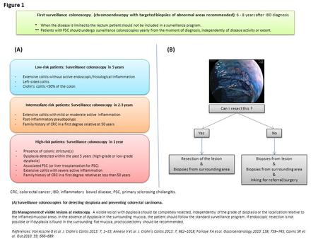 (A) Surveillance colonoscopies for detecting dysplasia and preventing colorectal carcinoma. (B) Management of visible lesions at endoscopy. A visible lesion.