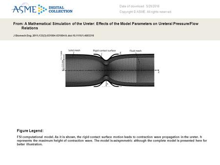 Date of download: 5/29/2016 Copyright © ASME. All rights reserved. From: A Mathematical Simulation of the Ureter: Effects of the Model Parameters on Ureteral.