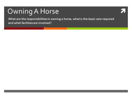  Owning A Horse What are the responsibilities in owning a horse, what is the basic care required and what facilities are involved?