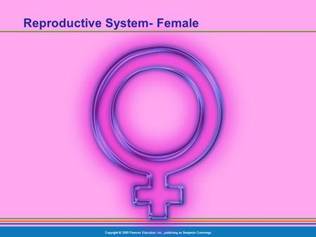 Copyright © 2009 Pearson Education, Inc., publishing as Benjamin Cummings Reproductive System- Female.