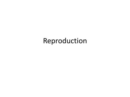 Reproduction. ASEXUAL REPRODUCTION Asexual Reproduction reproduction by MITOSIS only one parent offspring is genetically identical to parent organism.