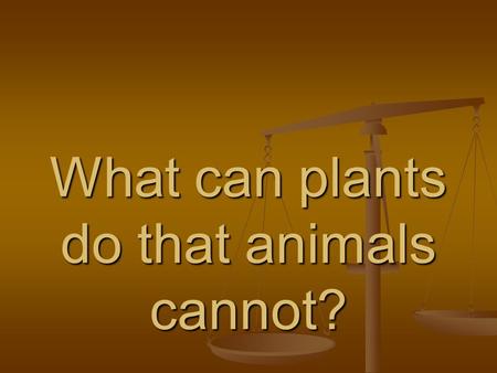 What can plants do that animals cannot?. Make food.