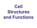 Cell Structures and Functions. 2 Types of Cells (Pro=No Eu=do): Prokaryotic No nucleus Organelles have no membranes Very small Simple 4 billion yrs. old.