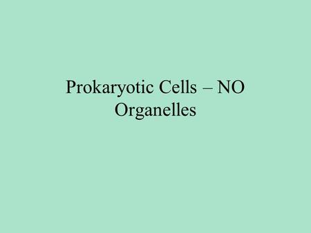 Prokaryotic Cells – NO Organelles. BACTERIAL CELL.