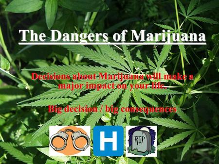 The Dangers of Marijuana Decisions about Marijuana will make a major impact on your life. Big decision / big consequences.