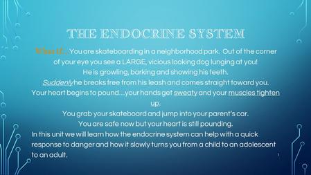 THE ENDOCRINE SYSTEM What if … You are skateboarding in a neighborhood park. Out of the corner of your eye you see a LARGE, vicious looking dog lunging.