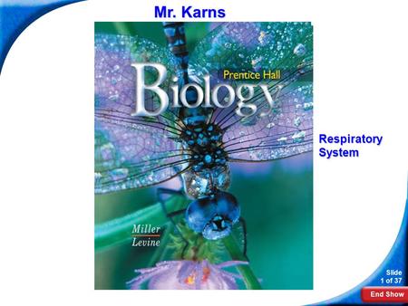 End Show Slide 1 of 37 Biology Mr. Karns RespiratorySystem.