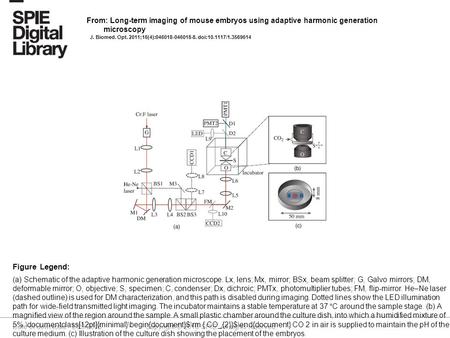 Date of download: 5/29/2016 Copyright © 2016 SPIE. All rights reserved. (a) Schematic of the adaptive harmonic generation microscope. Lx, lens; Mx, mirror;