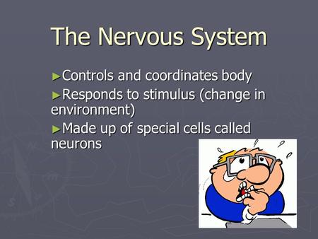 The Nervous System ► Controls and coordinates body ► Responds to stimulus (change in environment) ► Made up of special cells called neurons.