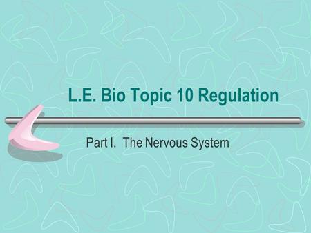 L.E. Bio Topic 10 Regulation Part I. The Nervous System.