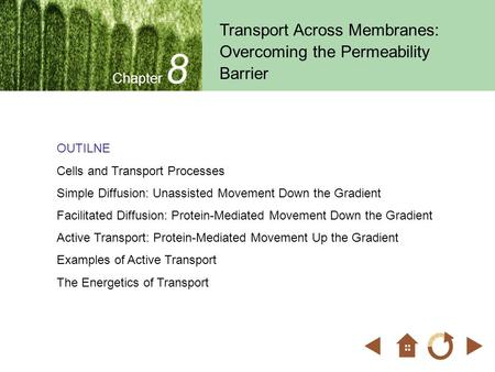 Chapter 8 Transport Across Membranes: Overcoming the Permeability Barrier OUTILNE Cells and Transport Processes Simple Diffusion: Unassisted Movement Down.