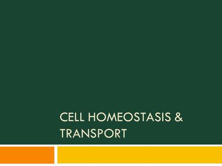 CELL HOMEOSTASIS & TRANSPORT. Cell Transport  Cell transport is moving materials into, out of, or within the cell  Transport within the cell (intracellular)