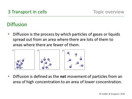 Diffusion is the process by which particles of gases or liquids spread out from an area where there are lots of them to areas where there are fewer of.