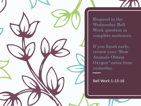 Respond to the Wednesday Bell Work question in complete sentences. If you finish early, review your “How Animals Obtain Oxygen” notes from yesterday. Bell.