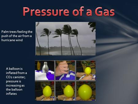 Palm trees feeling the push of the air from a hurricane wind A balloon is inflated from a CO2 canister; pressure is increasing as the balloon inflates.