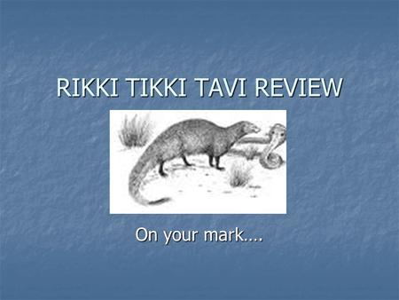 RIKKI TIKKI TAVI REVIEW