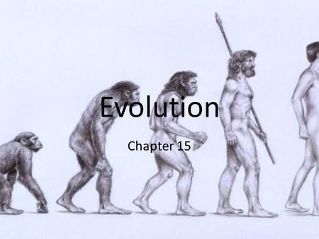 Evolution Chapter 15. Definition a theory that the various kinds of plants and animals are descended from other kinds that lived in earlier times and.