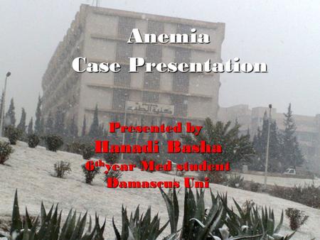 Anemia Case Presentation Presented by Hanadi Basha 6 th year Med student Damascus Uni.