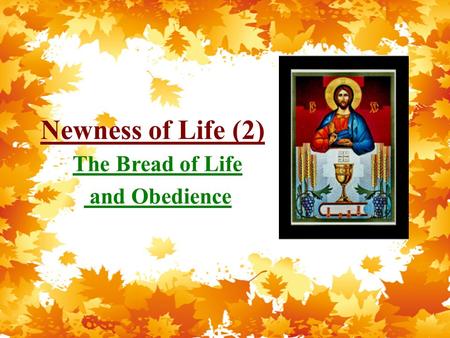 Newness of Life (2) The Bread of Life and Obedience.