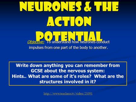 Neurones & the Action Potential Objective: To understand how neurones conduct impulses from one part of the body to another. Write down anything you can.