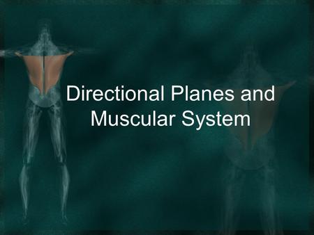 Directional Planes and Muscular System. Chapter 62 Directions, Planes, and Regions Directional Terms Anterior or ventral – front side of the body. Posterior.