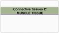 Connective tissues 2: MUSCLE TISSUE