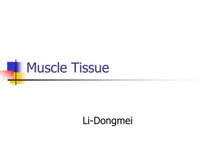 Muscle Tissue Li-Dongmei.