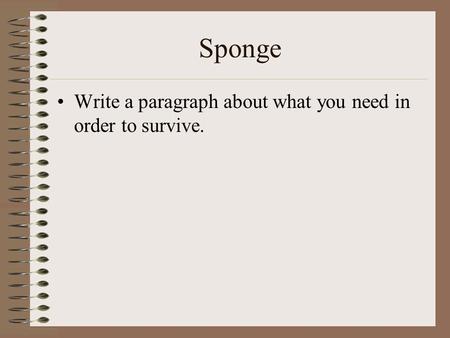 Sponge Write a paragraph about what you need in order to survive.