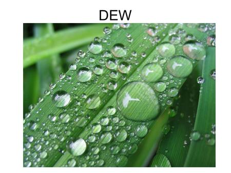 DEW. What is dew? Dew is moisture condensed upon the surfaces of cool objects especially at night. As the exposed surface cools by radiating its heat,