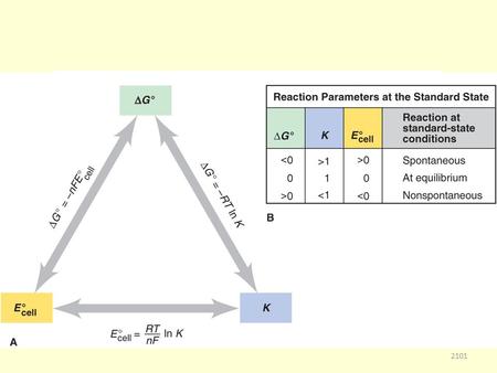 2101. Organic Chemistry 2102 Organic Chemistry The Chemistry of carbon compounds. 2103.