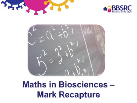 Maths in Biosciences – Mark Recapture. Mark-recapture - Predicting and protecting our pollinators Mark-recapture bees pollination conservation distribution.