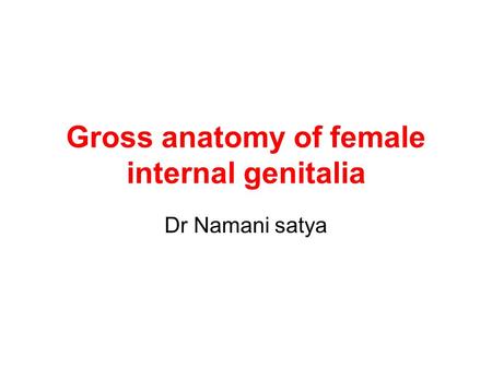 Gross anatomy of female internal genitalia