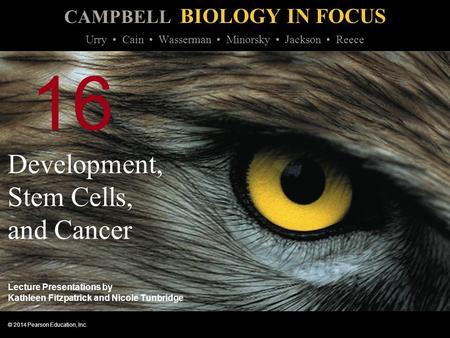 CAMPBELL BIOLOGY IN FOCUS © 2014 Pearson Education, Inc. Urry Cain Wasserman Minorsky Jackson Reece Lecture Presentations by Kathleen Fitzpatrick and Nicole.