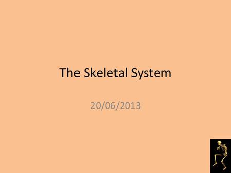 The Skeletal System 20/06/2013 Starter Discussion: What do you know about the skeletal system?