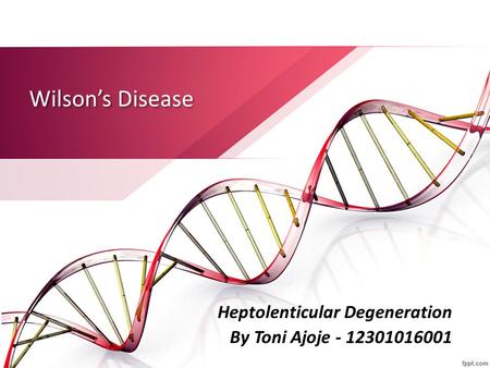 Heptolenticular Degeneration By Toni Ajoje