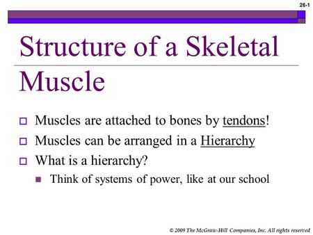 © 2009 The McGraw-Hill Companies, Inc. All rights reserved 26-1 Structure of a Skeletal Muscle  Muscles are attached to bones by tendons!  Muscles can.