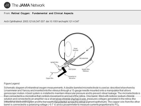 Date of download: 5/29/2016 Copyright © 2016 American Medical Association. All rights reserved. From: Retinal Oxygen: Fundamental and Clinical Aspects.