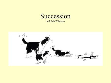 Succession with Judy Wilkinson. Family in Business and Business in Family Who is involved in a Family Business YES NO.