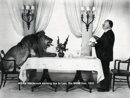 Alfred Hitchcock serving tea to Leo, the MGM lion. 1957.