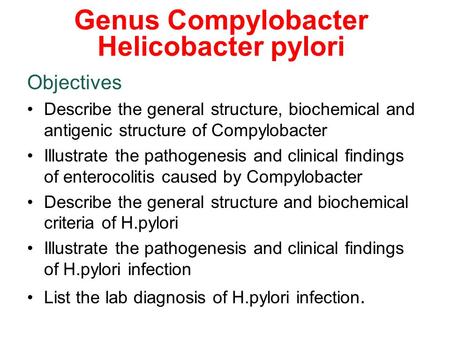 Genus Compylobacter Helicobacter pylori Objectives Describe the general structure, biochemical and antigenic structure of Compylobacter Illustrate the.