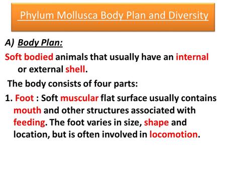 Phylum Mollusca Body Plan and Diversity A)Body Plan: Soft bodied animals that usually have an internal or external shell. The body consists of four parts: