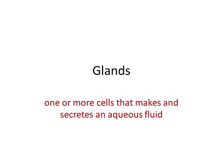 Glands one or more cells that makes and secretes an aqueous fluid.