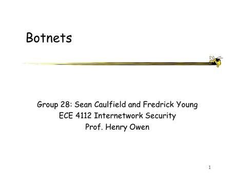 1 Botnets Group 28: Sean Caulfield and Fredrick Young ECE 4112 Internetwork Security Prof. Henry Owen.