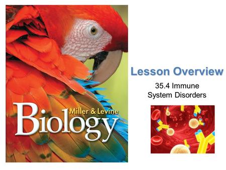 Lesson Overview Lesson Overview Immune System Disorders Lesson Overview 35.4 Immune System Disorders.